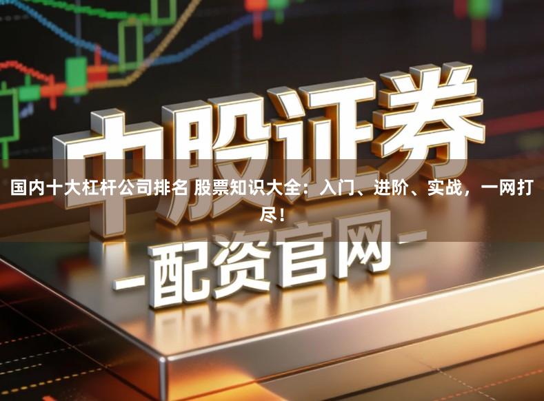 国内十大杠杆公司排名 股票知识大全：入门、进阶、实战，一网打尽！