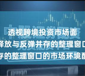 透视跨境投资市场面对风险释放与反弹并存的整理窗口的市场环境配