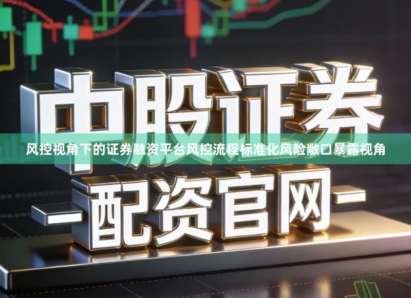 风控视角下的证券融资平台风控流程标准化风险敞口暴露视角