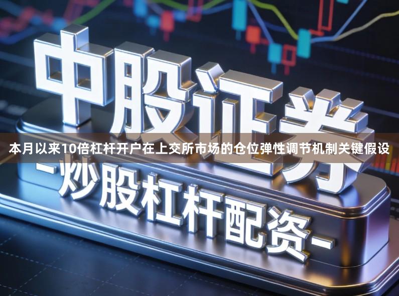 本月以来10倍杠杆开户在上交所市场的仓位弹性调节机制关键假设