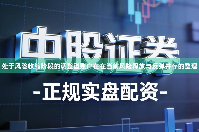 处于风险收缩阶段的调整型账户在在当前风险释放与反弹并存的整理