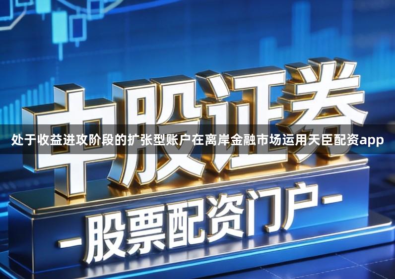 处于收益进攻阶段的扩张型账户在离岸金融市场运用天臣配资app