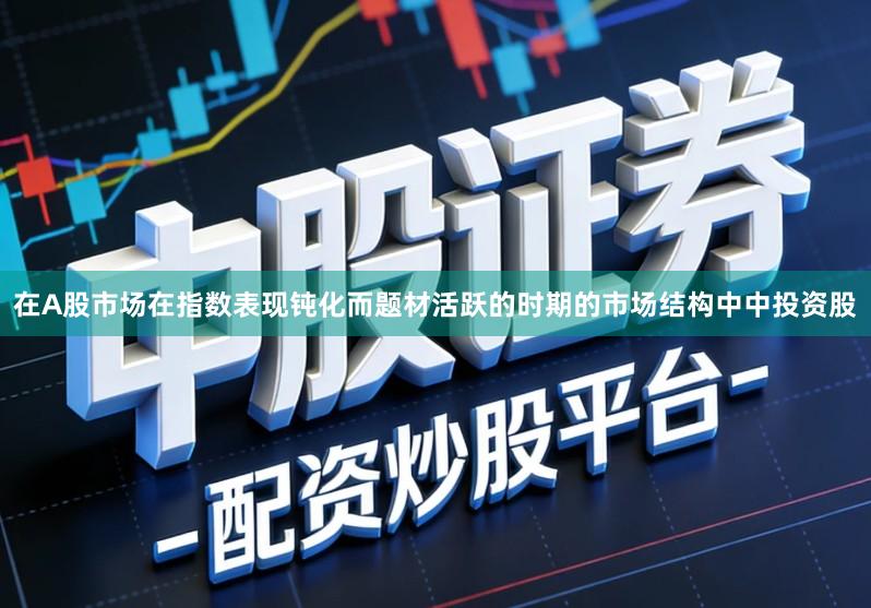 在A股市场在指数表现钝化而题材活跃的时期的市场结构中中投资股