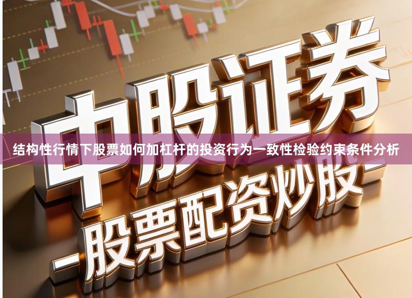 结构性行情下股票如何加杠杆的投资行为一致性检验约束条件分析