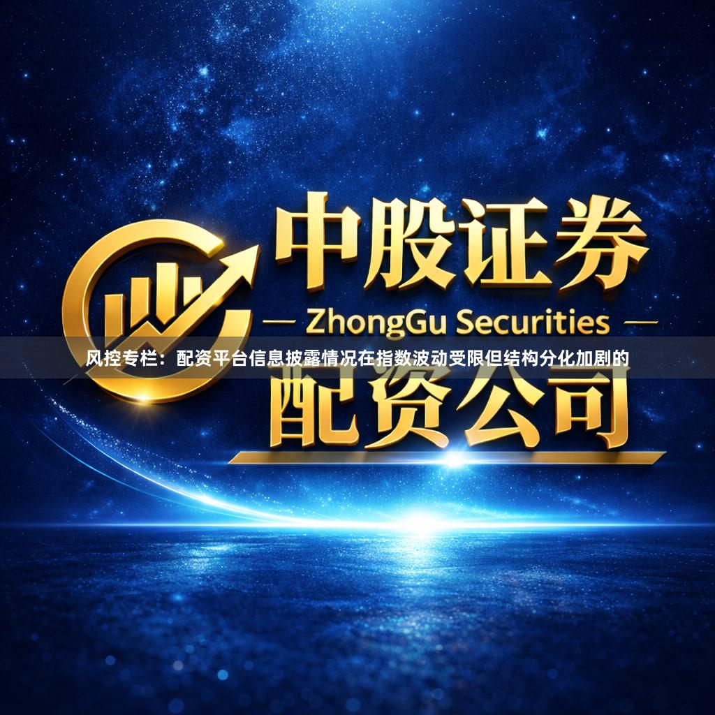风控专栏：配资平台信息披露情况在指数波动受限但结构分化加剧的