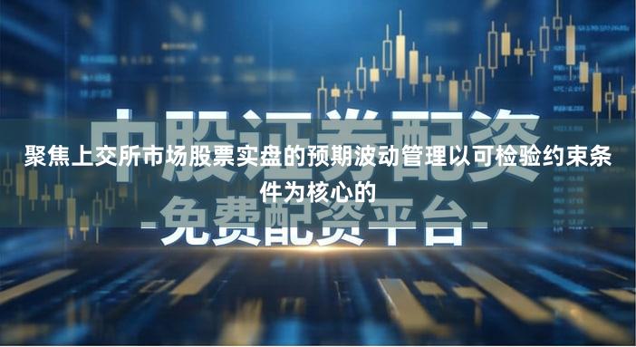 聚焦上交所市场股票实盘的预期波动管理以可检验约束条件为核心的